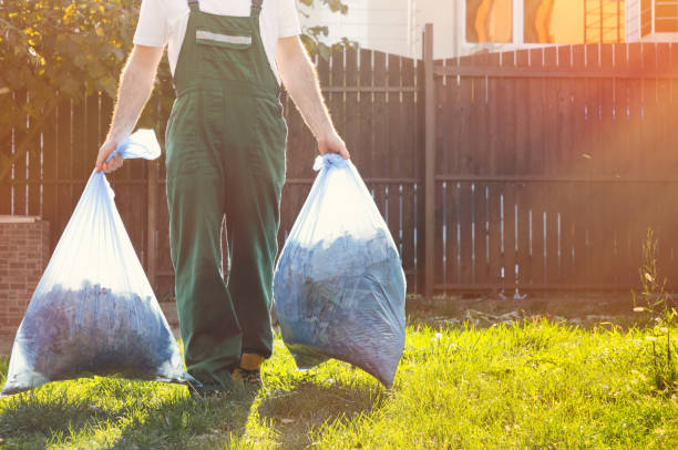 Best Same-Day Junk Removal  in Wheelersburg, OH